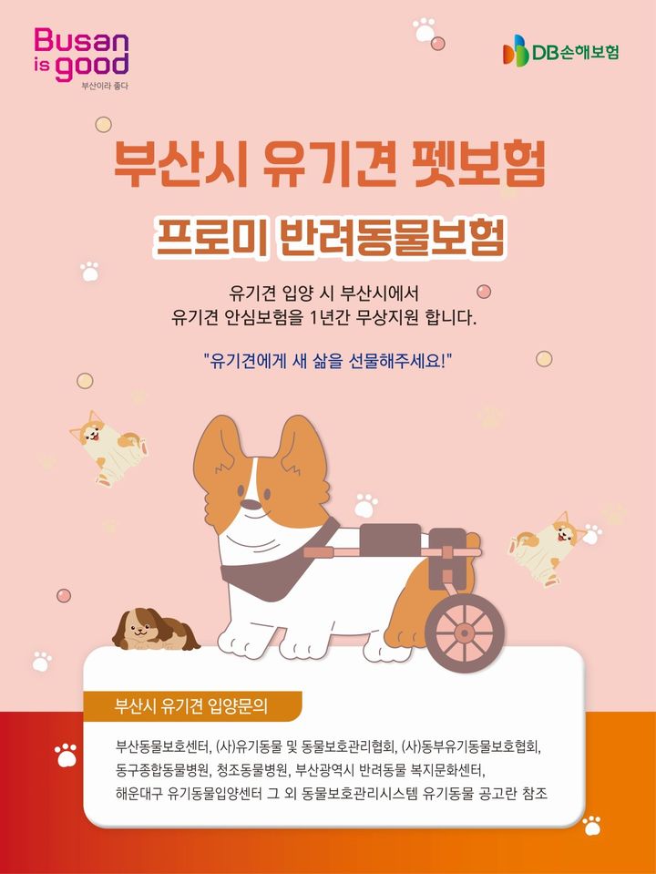 [부산=뉴시스] '2026년 유기동물 펫보험 지원사업' 포스터. (사진=부산시 제공) 2026.08.04. photo@newsis.com *재판매 및 DB 금지