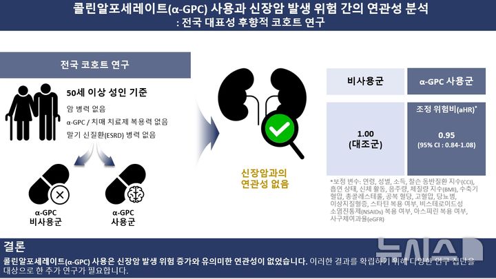 [서울=뉴시스] 대한민국 50세 이상 성인을 대상으로 한 전국 코호트 연구 결과, 콜린알포세레이트(α-GPC) 사용은 신장암 발생 위험 증가와 유의미한 연관성이 없었다. (사진= 서울대병원 제공)