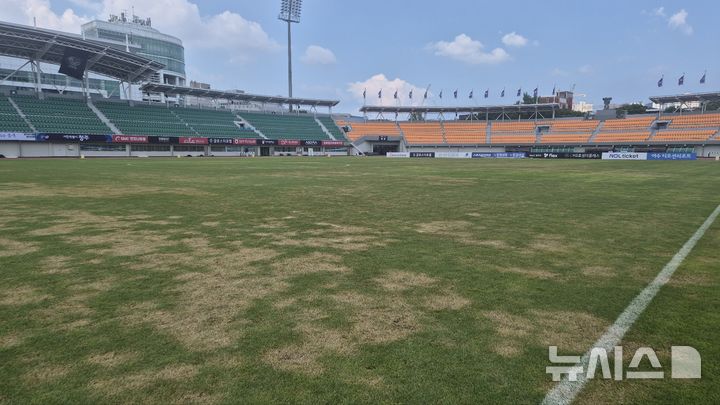 [청주=뉴시스] 박은수 기자 = 5일 충북청주FC의 홈구장인 청주종합경기장 잔디에 지난달 말부터 탄저병이 급속도로 번지며 경기장 곳곳이 갈색으로 변해 있다. 2026.08.05. mercurypark@newsis.com