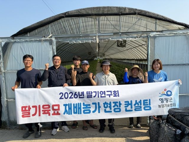 영광군은 본격적인 딸기 정식을 앞두고 우량묘 생산과 안정적인 수량 확보를 위해 관내 딸기 육묘농가를 대상으로 현장컨설팅을 실시했다. (사진=영광군 제공) photo@newsis.com *재판매 및 DB 금지