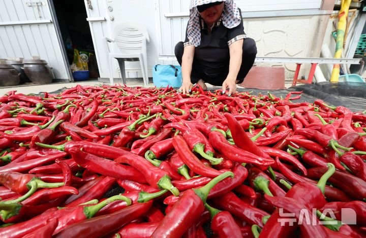 전북, 낮 25~30도 맑음…강풍·자외선·식중독 주의