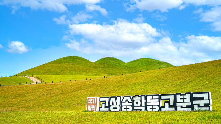 [고성(경남)=뉴시스] 신정철 기자= 경남 고성군이 오는 8월 말부터 일명 ‘반값여행’으로 불리는 ‘지역사랑 휴가지원사업’을 시행한다고 6일 밝혔다.사진은 유네스코 세계유산인 송학동고분군 전경.(사진=고성군 제공).2026.08.06. photo@newsis.com *재판매 및 DB 금지