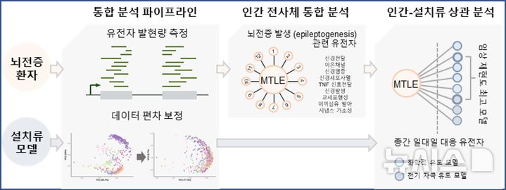[서울=뉴시스] 뇌전증환자와 동물모델 데이터를 분석하는 과정. (사진= 세브란스병원 제공)
