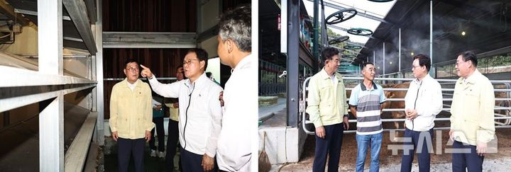[합천=뉴시스]박완수 경남도지사가 6일 오후 합천군 양계농가(왼쪽 사진)와 한우농가를 차례로 방문해 폭염대응 상황을 점검하고 있다.(사진=경남도 제공) 2026.08.06. photo@newsis.com