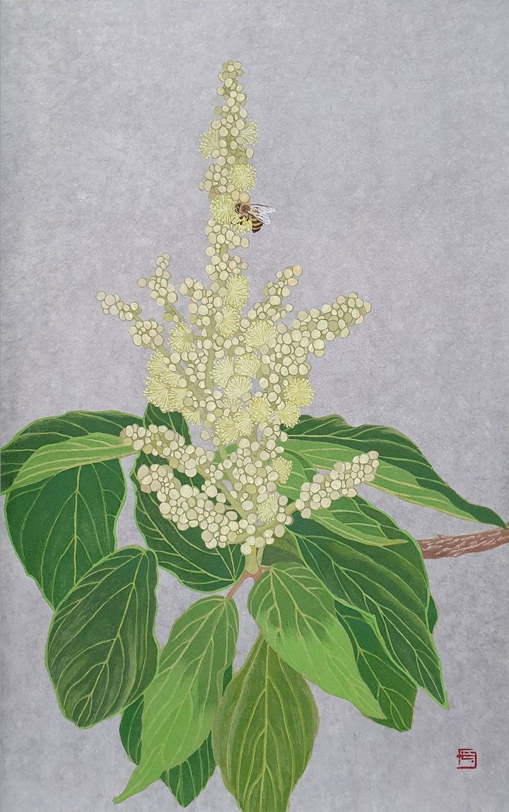 최은영_씨앗과 이파리-예덕나무_2025_한지에 분채_53.3×33.5cm *재판매 및 DB 금지