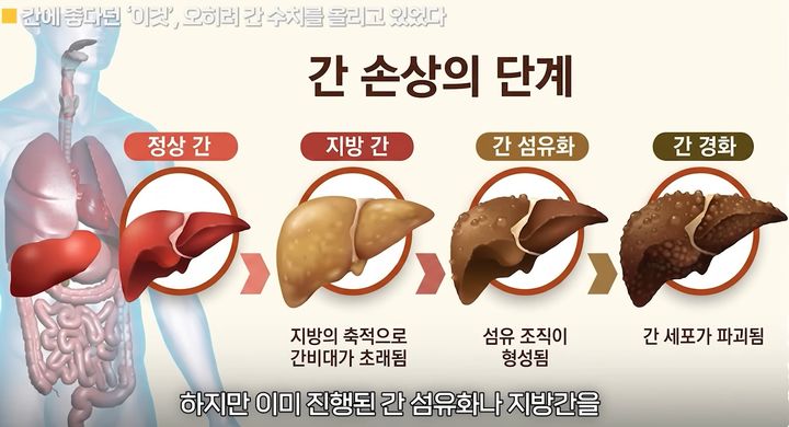 [서울=뉴시스](사진출처: 유튜브 채널 '지식한상' 캡처)