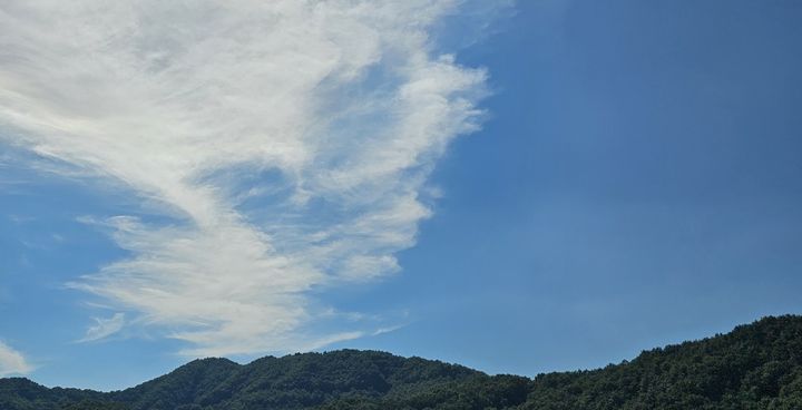 대전·충남 최고 36도 폭염 속 오후 5~40㎜ 소나기