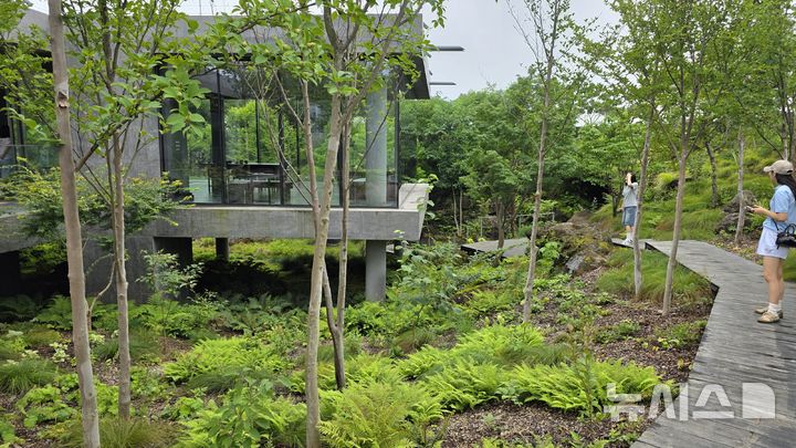 [제주=뉴시스] 임재영 기자 = 제주 서귀포시 베케 정원에 나무와 초화류가 어우러져 숲을 연상시키는 풍경이 펼쳐져 있다. 베케 농업회사법인은 지난 7일 제주도 시민정원사 양성기관으로 지정됐다. 2026.08.11. ijy788@newsis.com