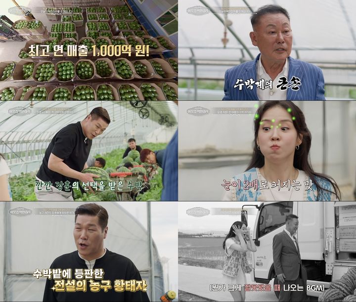 [서울=뉴시스] 12일 오후 9시55분 방송되는 EBS '서장훈의 이웃집 백만장자'에서는 40년간 수박 유통업에 종사해온 임장섭 회장의 이야기가 공개된다. (사진= EBS) 2026.08.11. photo@newsis.com *재판매 및 DB 금지