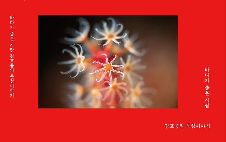 [서울=뉴시스] '바다가 좋은 사람, 김호웅의 문섬이야기' (사진=김호웅 제공) 2026.08.12. photo@newsis.com *재판매 및 DB 금지