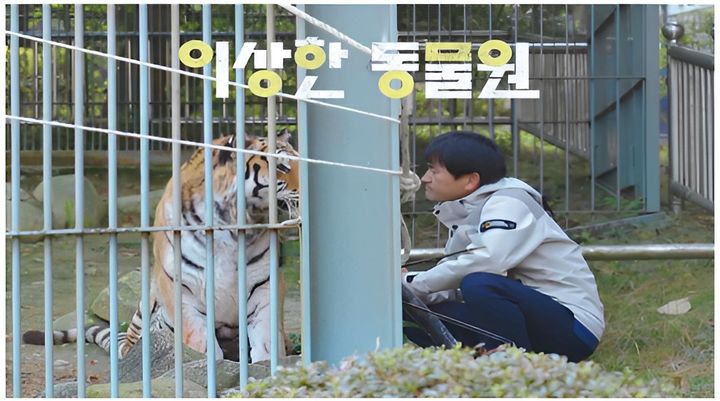 [서울=뉴시스] SBS TV '이상한 동물원'. (사진=방송미디어통신심의위원회 제공) 2026.08.12. photo@newsis.com *재판매 및 DB 금지