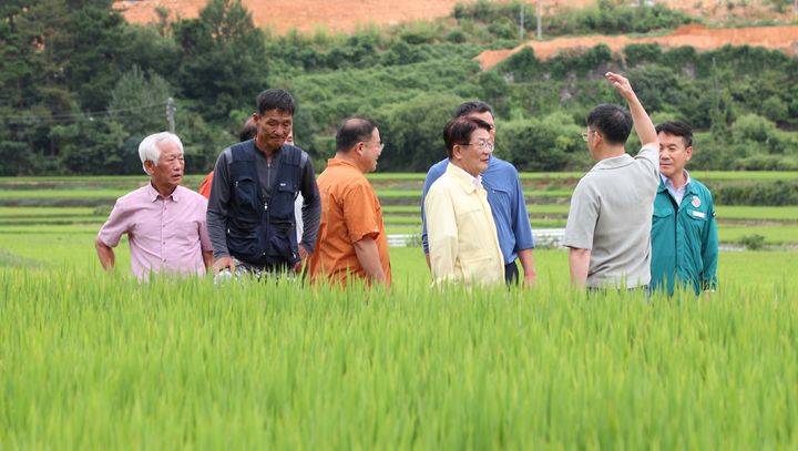 [고성(경남)=뉴시스] 신정철 기자= 경남 고성군은 장기간 이어지는 폭염과 가뭄으로 인한 농작물 생육 저하와 가축 폐사 피해를 최소화하기 위해 농업·축산 분야별 대응 대책을 강화하고 있다고 13일 밝혔다.사진은 하학열 군수 등 고성군 간부공무원들의 농작물 현장 점검 모습.(사진=고성군 제공).2026.08.13. photo@newsis.com *재판매 및 DB 금지