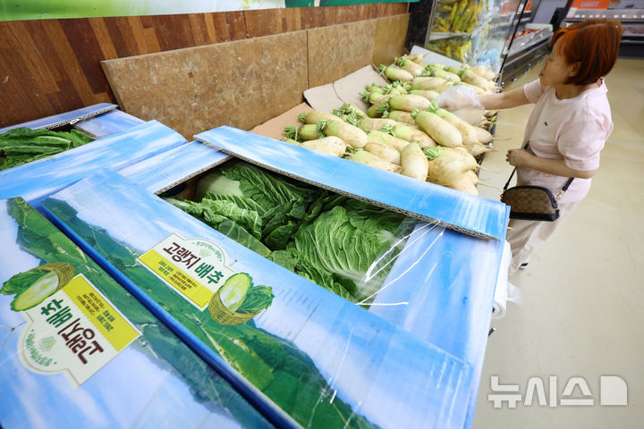 [서울=뉴시스] 황준선 기자 = 정부가 최근 폭염과 가뭄에 대응해 농축수산물 가격과 수급을 안정화하기 위한 방안으로 수급 상황에 따라 배추·무 등 비축물량을 적기에 공급하고 추석 성수기까지 주요 농축수산물에 대해 최대 50% 할인지원을 진행한다고 밝힌 13일 서울 시내 한 대형마트 무 매대. 2026.08.13. hwang@newsis.com