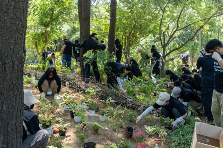 [서울=뉴시스] 가드닝 크루 활동. (사진=서울시 제공) 2026.08.14. photo@newsis.com *재판매 및 DB 금지
