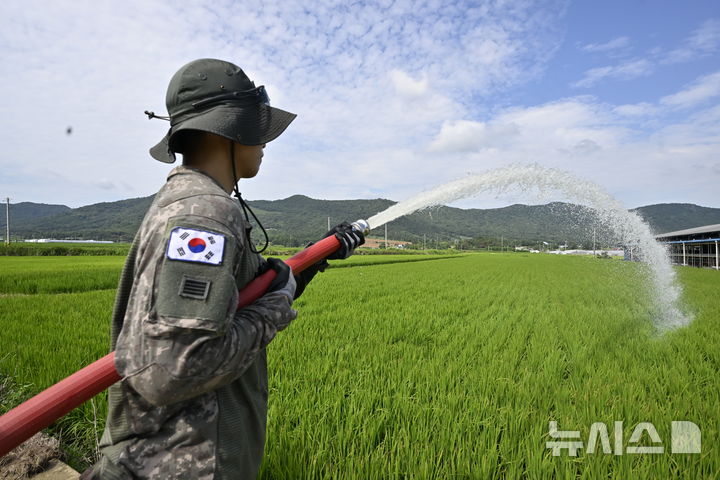 [나주=뉴시스] 양시원 기자 = 14일 오전 전남광주 나주시 노안면 한 논에서 육군 제31보병사단 화생방대대 소속 장병이 급수지원을 하고 있다. 2026.08.14. goodwrite97@newsis.com
