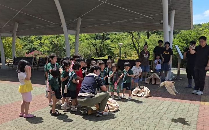 [울산=뉴시스] 14일 울산대공원 키즈테마파크를 방문한 어린이들과 함께 구조·재활을 마친 황조롱이 3마리를 자연으로 돌려보내고 있다. (사진=울산시설공단 제공) 2026.08.14. photo@newsis.com&nbsp; *재판매 및 DB 금지
