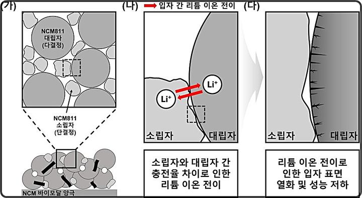 [대전=뉴시스] 인하대 김민규 교수팀이 지속적인 리튬이온 전이현상이 특정 입자의 계면 열화와 암염상 표면 재구성을 촉진해 배터리 수명 감소(열화)를 가속화하는 원인임을 규명했다.(사진=인하대 제공) *재판매 및 DB 금지