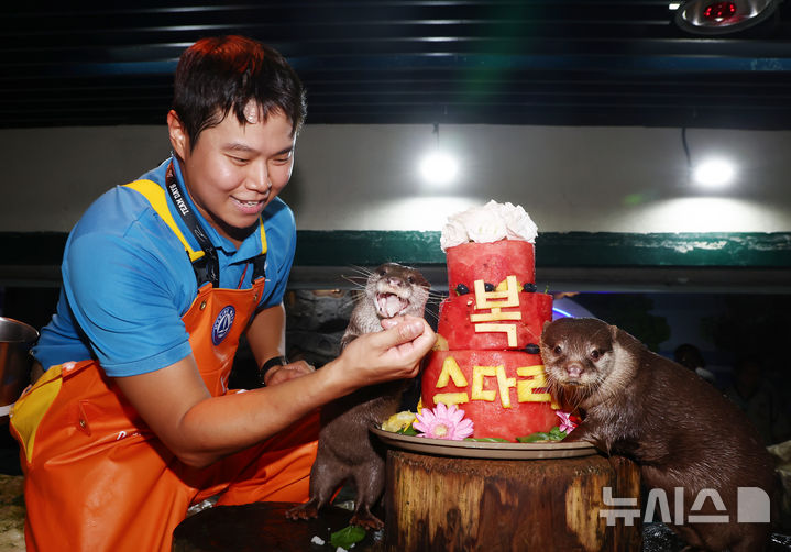 [서울=뉴시스] 박영태 기자 = 삼복더위의 마지막인 말복을 맞은 14일 서울 송파구 롯데월드 아쿠아리움에서 작은발톱수달이 복날을 맞아 꽁꽁 얼린 과일 특식을 먹으며 시원한 여름을 보내고 있다. 2026.08.14. since1999@newsis.com