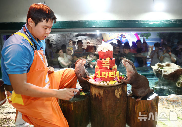 [서울=뉴시스] 박영태 기자 = 삼복더위의 마지막인 말복을 맞은 14일 서울 송파구 롯데월드 아쿠아리움에서 작은발톱수달이 복날을 맞아 꽁꽁 얼린 과일 특식을 먹으며 시원한 여름을 보내고 있다. 2026.08.14. since1999@newsis.com