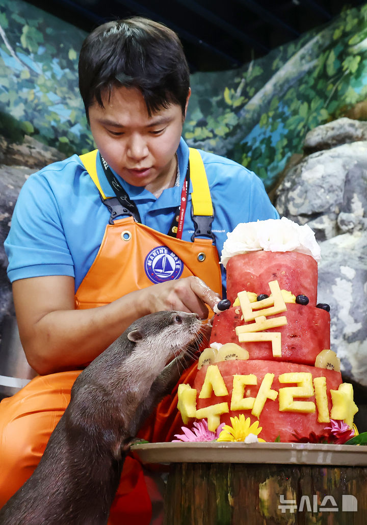 [서울=뉴시스] 박영태 기자 = 삼복더위의 마지막인 말복을 맞은 14일 서울 송파구 롯데월드 아쿠아리움에서 작은발톱수달이 복날을 맞아 꽁꽁 얼린 과일 특식을 먹으며 시원한 여름을 보내고 있다. 2026.08.14. since1999@newsis.com