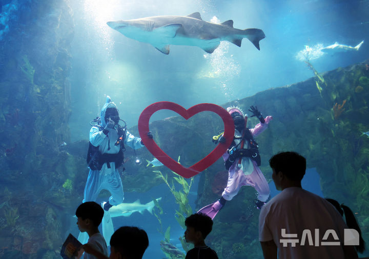 [서울=뉴시스] 박영태 기자 = 삼복더위의 마지막인 말복을 맞은 14일 서울 송파구 롯데월드 아쿠아리움 메인수조에서 아쿠아리스트가 수중이벤트를 진행하고 있다. 2026.08.14. since1999@newsis.com