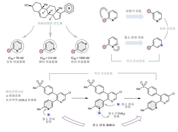 피리딘의 질소 위치 재배치를 통한 위치 이성질화 개요. (사진=과학기술정보통신부 제공) *재판매 및 DB 금지