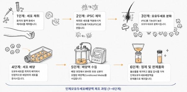 [서울=뉴시스] 인체모유두세포배양액 제조 과정 (사진=메디포스트 제공) 2026.08.18. photo@newsis.com *재판매 및 DB 금지