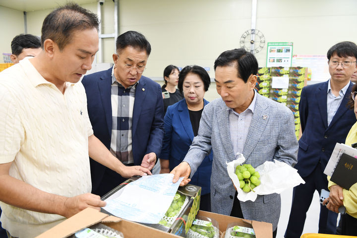 [창녕=뉴시스] 안지율 기자 = 성낙인 군수가 캐나다로 수출되는 샤인머스켓을 확인하고 있다. (사진=창녕군 제공) 2026.08.18. photo@newsis.com *재판매 및 DB 금지