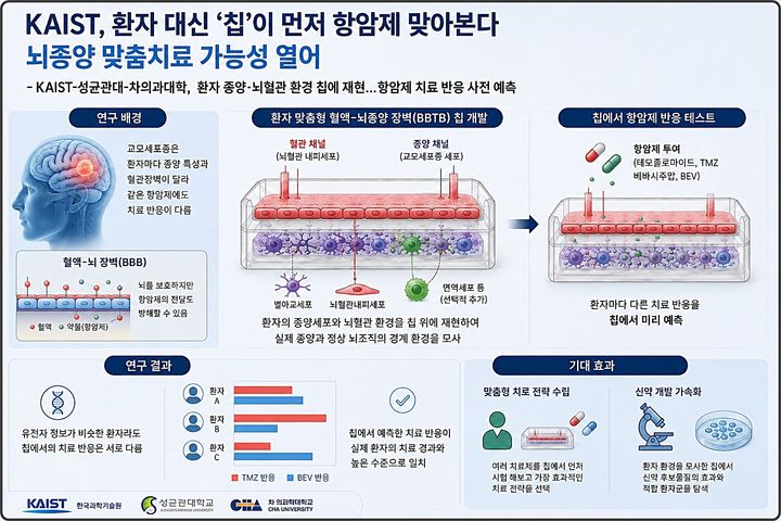 [대전=뉴시스] KAIST가 공동연구를 통해 교모세포종(악성뇌종양) 환자의 치료반응을 미리 예측할 수 있는 '혈액-뇌종양 장벽 칩'을 개발했다. 연구 모식도.(사진=KAIST 제공) *재판매 및 DB 금지