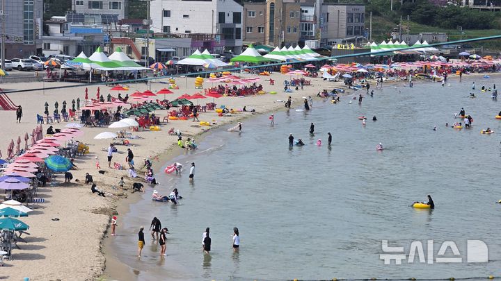 [포항=뉴시스] 송종욱 기자 = 포항 구룡포해수욕장 전경. 2026.08.18. sjw@newsis.com 