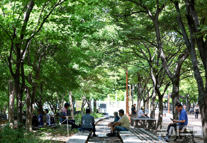 울산, 낮 최고 33도 폭염 계속…밤에는 열대야