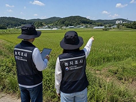 [대구=뉴시스] 국립농산물품질관리원 경북지원(경북농관원)이 대구·경북지역 농지 6만여 필지를 대상으로 심층조사에 나섰다. (사진=경북농관원 제공) 2026.08.19. photo@newsis.com *재판매 및 DB 금지