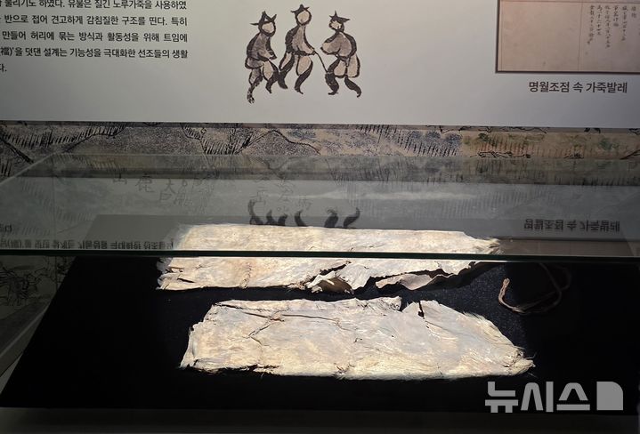 [제주=뉴시스] 임재영 기자 = 지난 7월14일 제주대학교박물관에서 전시 중인 제주 전통 목축복식 '가죽발레'. 질긴 가죽을 이용해 정강이와 종아리 부분을 감싸도록 만든 것으로 거친 중산간에서 말을 돌보던 목자들이 가시덤불과 습기, 추위 등으로부터 다리를 보호하기 위해 착용했다. 2026.08.20. ijy788@newsis.com