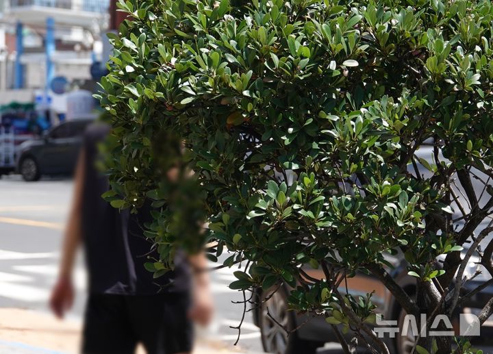 [제주=뉴시스] 19일 오전 제주시 한림항 인근 도로에서 장기 실종자 장미란씨의 보호자가 장씨를 찾고 있다. (사진=장미란씨 측 제공) 2026.08.19. photo@newsis.com