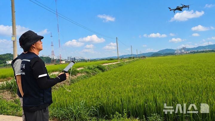 [안양=뉴시스] 농관원 경기지원 조사반이 드론을 활용해 농지 심층 조사를 벌이고 있다. (사진=농관원 경기지원 제공).2026.08.20. photo@newsis.com