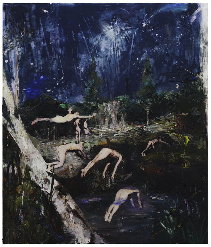 The Starry Night - Dive -, 2026, oil on canvas, 200.8 x 171.2 cm *재판매 및 DB 금지
