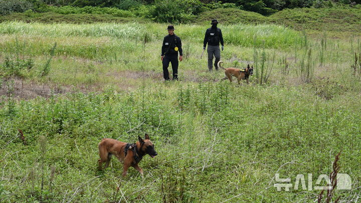 [제주=뉴시스] 오영재 기자 = 20일 오후 제주경찰청이 한림항 일대에서 3개월째 실종상태인 장미란씨를 찾기 위해 체취증거견을 통한 수색을 하고 있다. 2026.08.21. oyj4343@newsis.com
