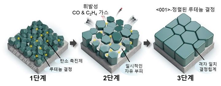 [전남광주=뉴시스] 탄소 촉진제(C-promoter)에 의한 루테늄(Ru) 결정립의 성장과 결정 방향 정렬 과정. (1단계) 증착 직후에는 작은 Ru 결정립들이 서로 다른 방향으로 배열, (2단계) 초기 열처리 과정에서 탄소가 결정립계로 이동해 네트워크를 형성하고 휘발성 물질이 빠져나가면서 결정립 내부와 경계에서 원자가 이동할 수 있는 일시적인 공간인 자유 부피(free volume)가 만들어진다. 이로 인해 원자 이동이 더 쉽게 일어나면서 준안정한 중간 상태(metastable intermediate state)를 형성한다. (3단계) 결정립이 성장하고 결정 방향이 재배열되면서, 최종적으로 특정한 원자 배열 방향인 '<001> 방향'으로 정렬된 루테늄 박막이 형성된다. (그래픽=광주과학기술원 제공) 2026.08.21. photo@newsis.com *재판매 및 DB 금지
