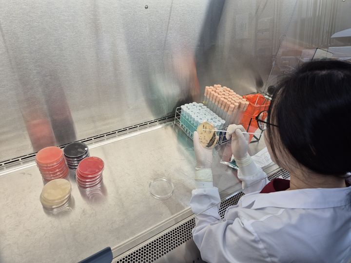 충북 배달음식도, 음식점 조리식품도…식중독균 '미검출'