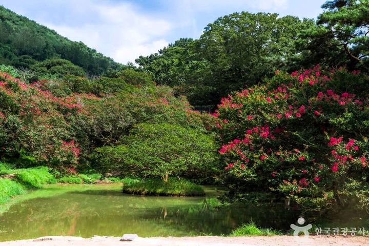 전남광주 담양군 ‘명옥헌 원림’. (사진=한국관광공사) *재판매 및 DB 금지