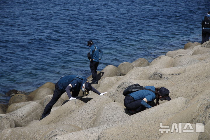 [제주=뉴시스] 우장호 기자 = 23일 오전 제주시 한림항 인근 방파제에서 경찰 인력이 지난 5월 실종신고가 최초 접수된 장미란(37)씨를 찾기 위해 테트라포드를 집중 수색하고 있다. 2026.08.23. woo1223@newsis.com