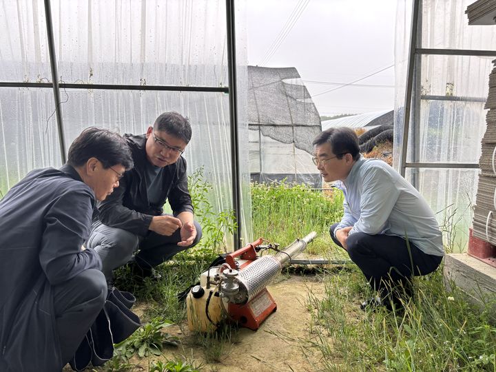 [세종=뉴시스] 지난 5월 부여 방울토마토 시설 농가 방문 모습. (사진=농촌진흥청 제공) *재판매 및 DB 금지