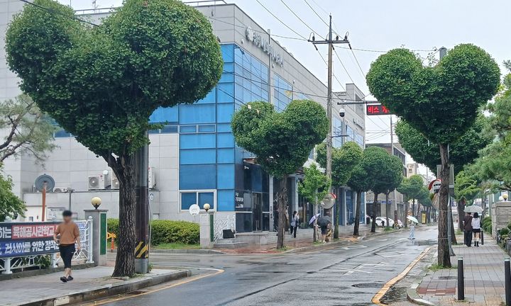 충북 청주시 상당구 청주시청 임시청사 일대에 하트 모양으로 조성된 은행나무 가로수길. (사진=청주시 제공) *재판매 및 DB 금지