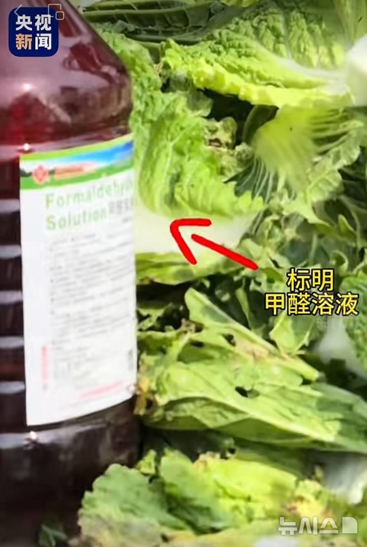 [베이징=뉴시스] 중국 허베이성 장자커우시 캉바오현에서 일부 업자가 배추의 신선도를 유지하기 위해 배추에 발암물질인 포름알데히드를 사용했다는 내용이 알려지면서 중국 정부가 특별 조사 등을 통해 엄중 단속할 것을 23일 지시했다. 사진은 중국 관영 CCTV 소셜미디어 위챗에 공개된 해당 사실을 촬영한 블로거 영상.(사진=중국 CCTV 위챗 갈무리) *DB 및 재판매 금지 photo@newsis.com 