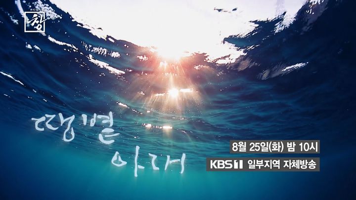 [서울=뉴시스]'시사기획 창'(사진=KBS1TV 제공) 2026.08.25. photo@newsis.com *재판매 및 DB 금지