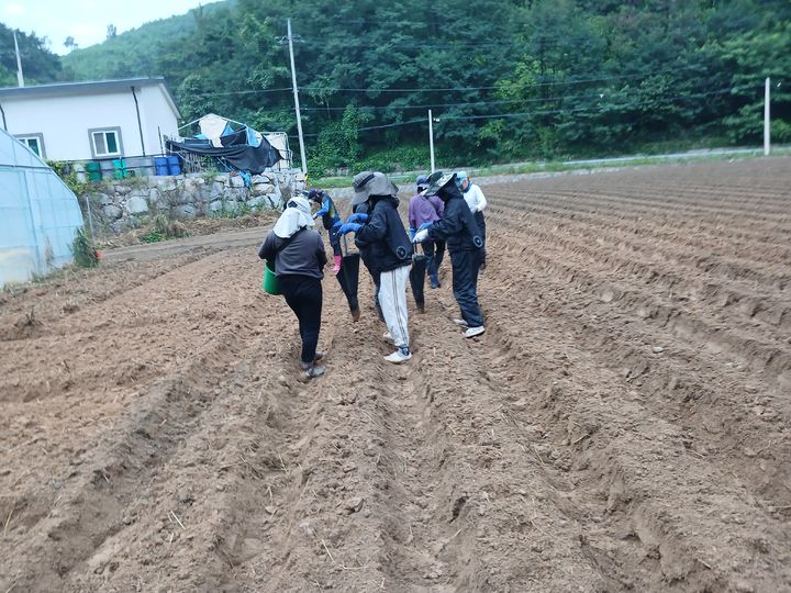 [강릉소식]농협 강릉시지부·북강릉농협 고령농가 주거환경 개선 지원 등