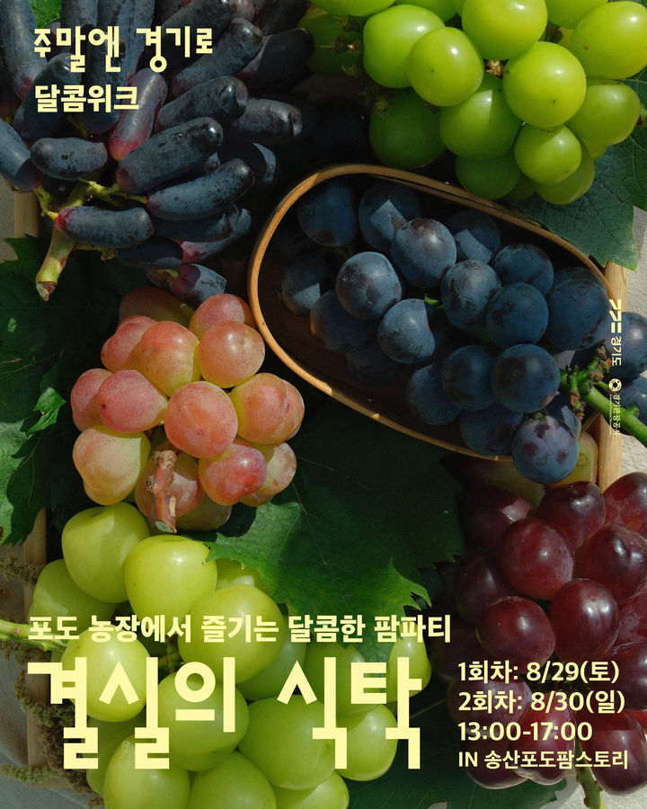 포도 체험의 장 '달콤위크-결실의 식탁' (사진=경기관광공사 제공) *재판매 및 DB 금지
