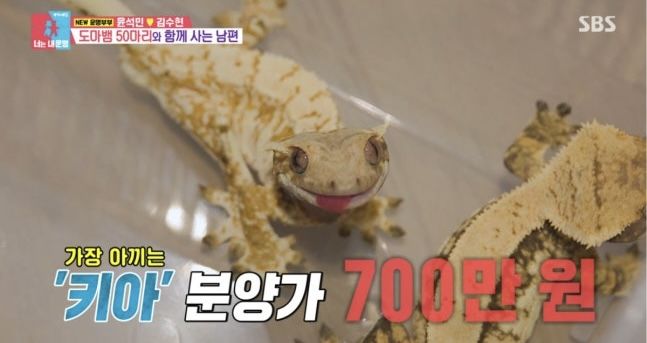 [서울=뉴시스] 동상이몽. (사진 = SBS TV 캡처) 2026.08.26. photo@newsis.com *재판매 및 DB 금지