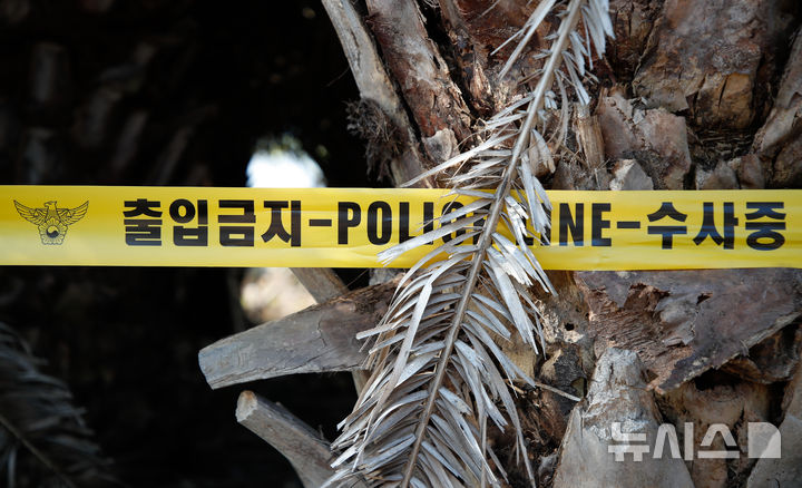 [제주=뉴시스] 우장호 기자 = '제주 실종자 허위 종결' 사건 파문이 이어지는 26일 오전 장미란(37)씨의 시신이 발견된 제주시 한림읍의 한 야자수 나무에 경찰이 친 폴리스라인이 둘러져 있다. 2026.08.26. woo1223@newsis.com