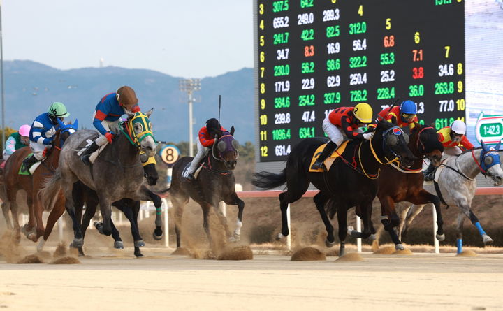 [부산=뉴시스] 렛츠런파크 부산경남 경마 장면. (사진=한국마사회 렛츠런파크 부산경남 제공) 2026.08.27 photo@newsis.com *재판매 및 DB 금지